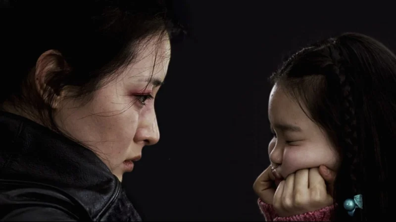 Người Đẹp Báo Thù - Lady Vengeance