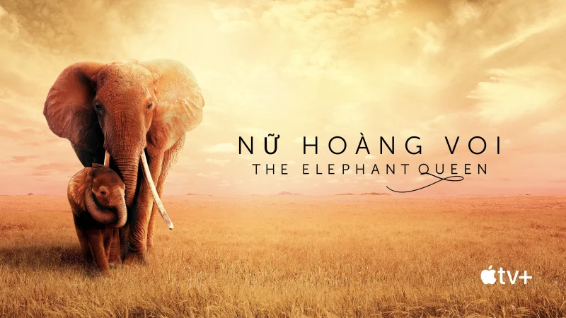 Nữ Hoàng Voi - The Elephant Queen