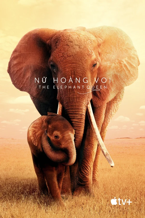 Nữ Hoàng Voi - The Elephant Queen (2019)
