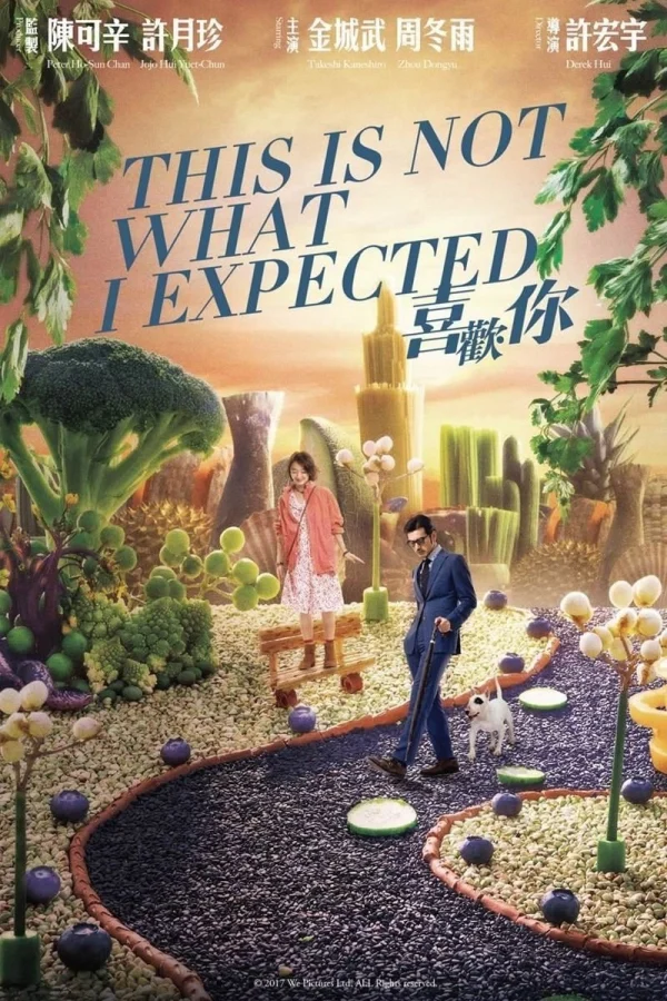 Hướng Dẫn Sử Dụng Đàn Ông - This Is Not What I Expected (2017)