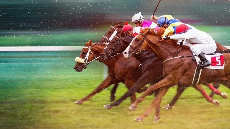 Phi Nước Kiệu Đến Ngôi Vương - Race For The Crown