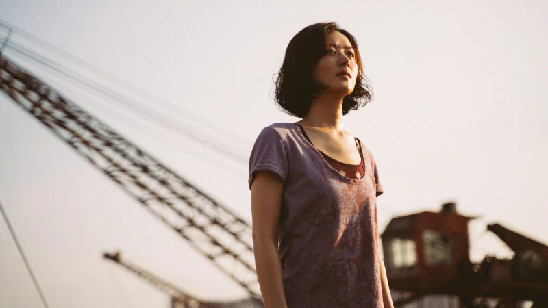 Hoa Hướng Dương - We Girls