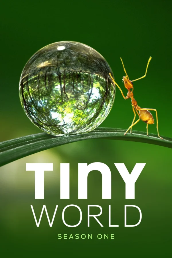 Thế Giới Siêu Nhỏ (Phần 1) - Tiny World (Season 1) (2020)