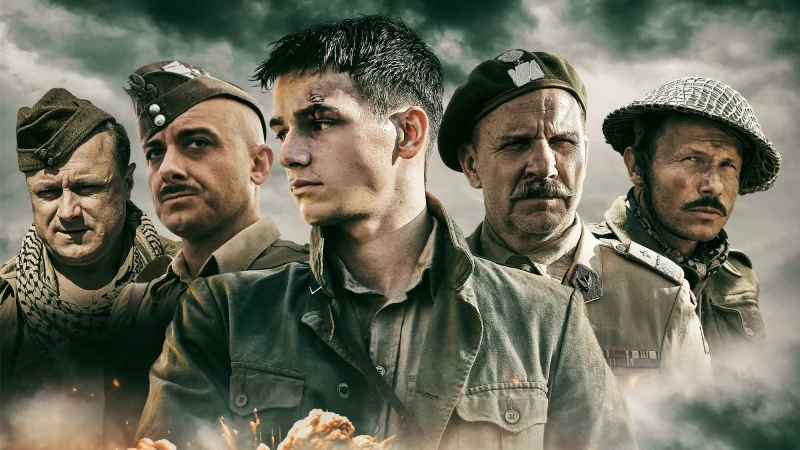 Những Đoá Anh Túc Đỏ - Red Poppies