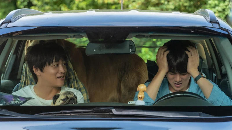 Tìm Nhà Cho Boss - My Heart Puppy