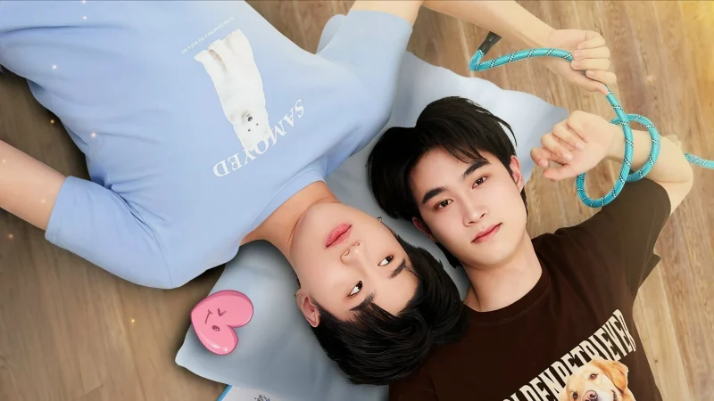 Phải Lòng Cún Con - DogBro