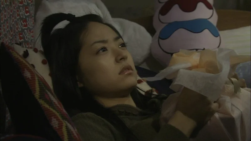 Vườn Sao Băng: Hồi Kết - Hana Yori Dango: Final