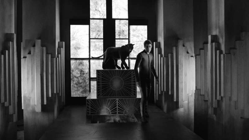 Diabolik Bạn Là Ai - Diabolik: Who Are You?