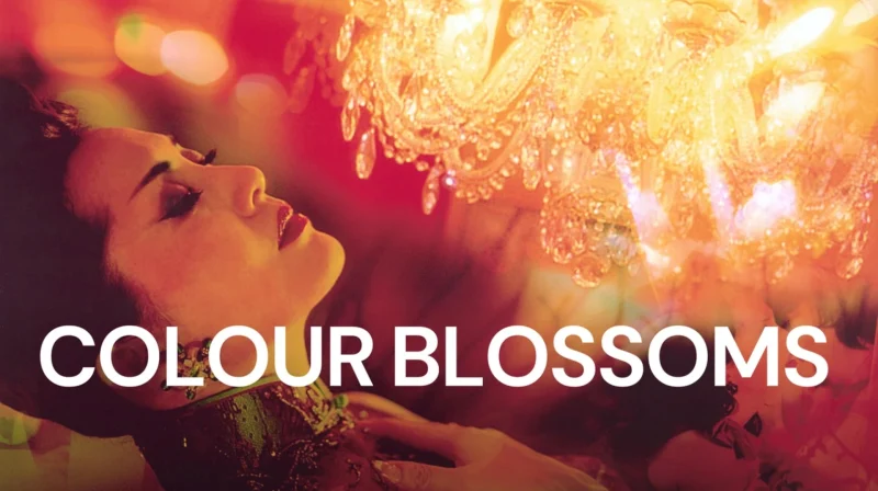 Sắc Dục Nở Hoa - Colour Blossoms
