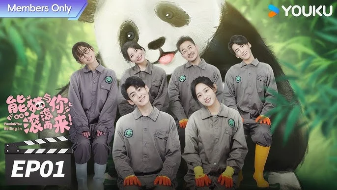 Gấu Trúc Và Bạn, Lăn Đến Đây! - Panda & You Rolling In