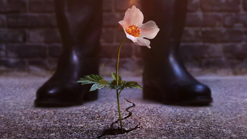 Thế Giới Của Phát Xít - The Man in the High Castle